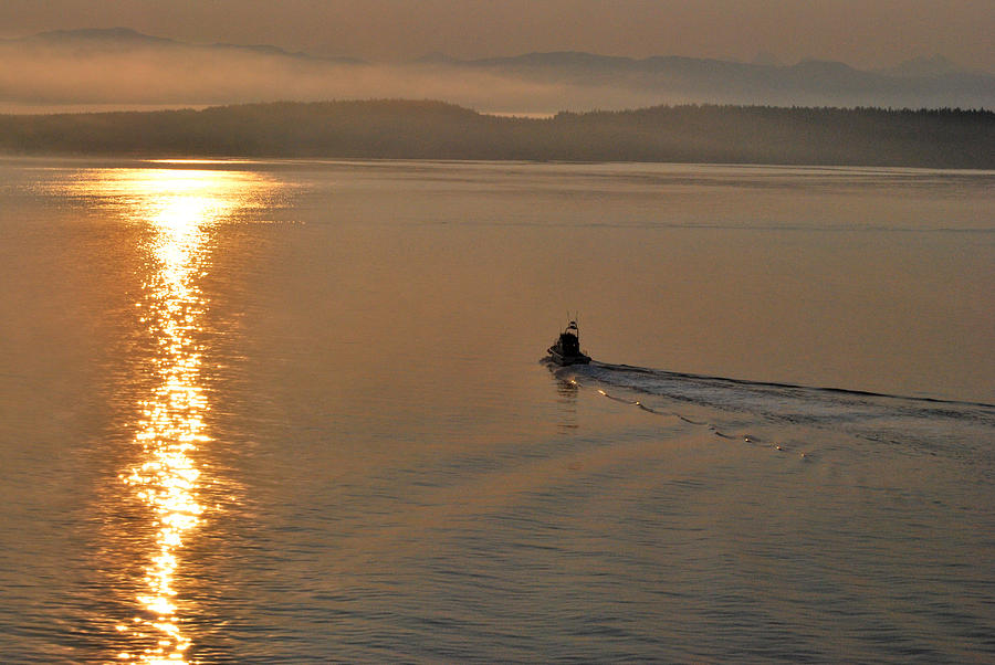 Good morning Alaska Photograph by Terence Davis