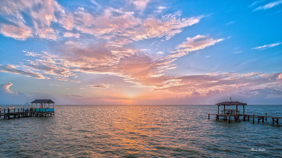 Good Morning Aransas Bay Photograph by Maria Nesbit