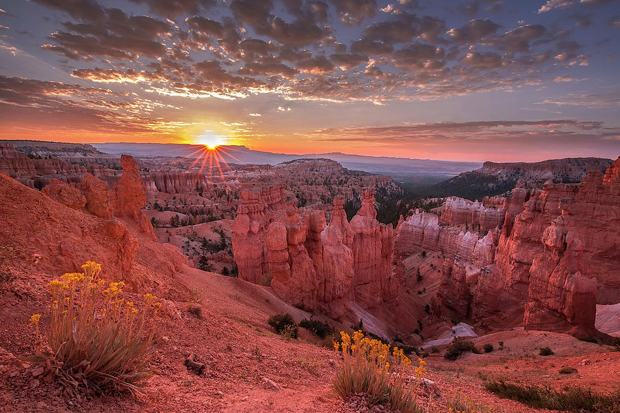 Good Morning, Bryce Canyon Photograph by Jennifer Grover - Fine Art America