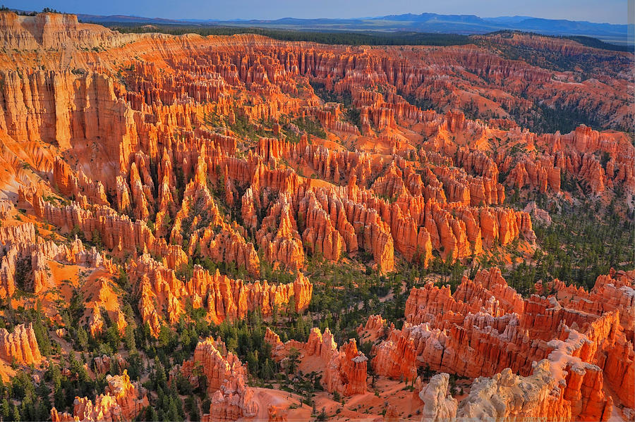 Nature Photograph - Good Morning Bryce by David Ross