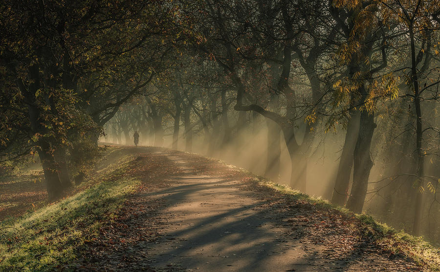 'good Morning' Photograph By Chris Hornung - Fine Art America