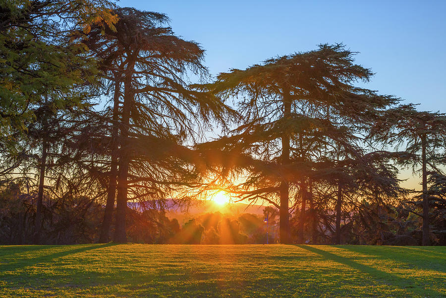 A Very Good Morning Balboa Park Photograph by Joseph S Giacalone