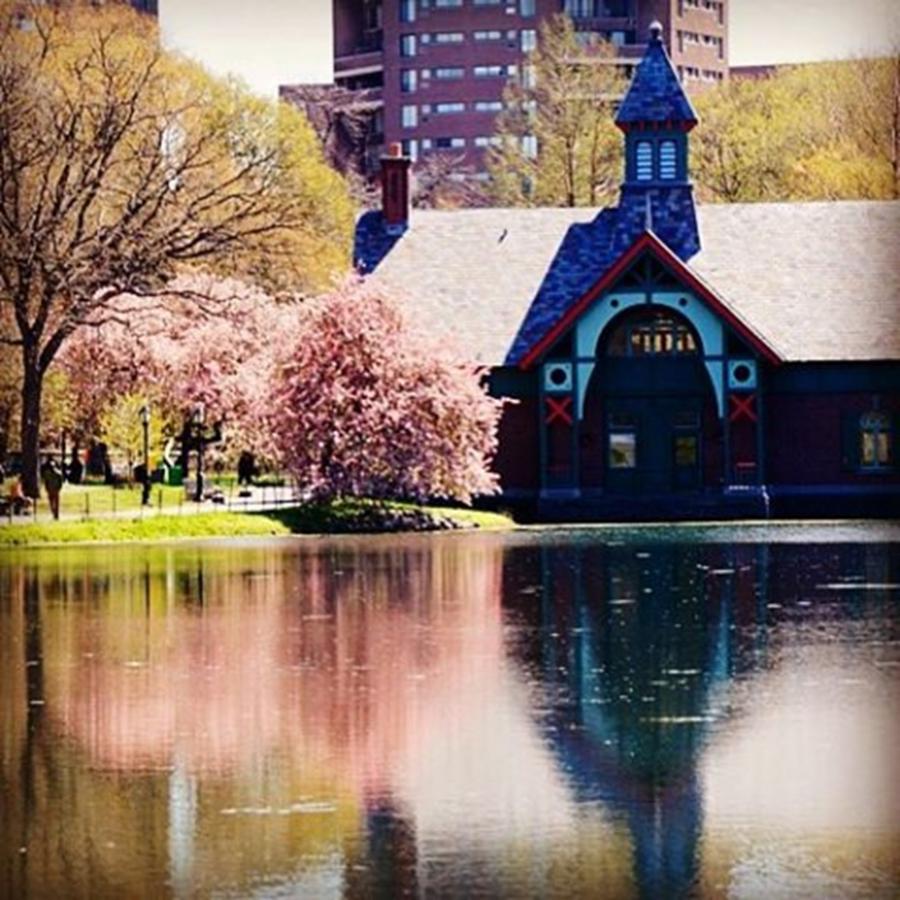 New York City Photograph - Good Morning Harlem Meer #ny #nyc by Picture This Photography