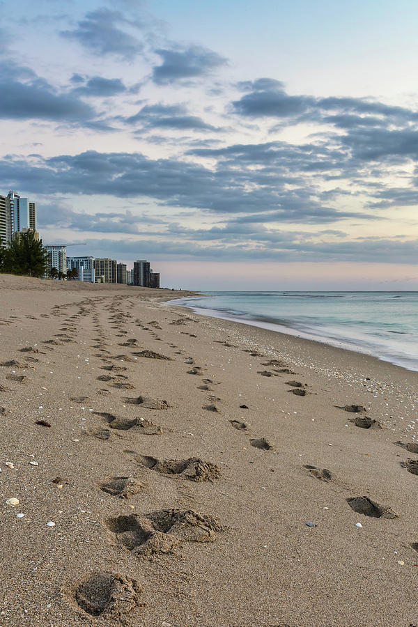 Good Morning Miami Beach Photograph by Penny Meyers