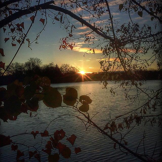 Nature Photograph - Good Morning! 
#nature #sunrise by Douglas Carey