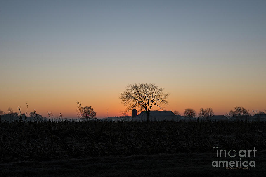 Good Morning on the Farm Photograph by David Arment