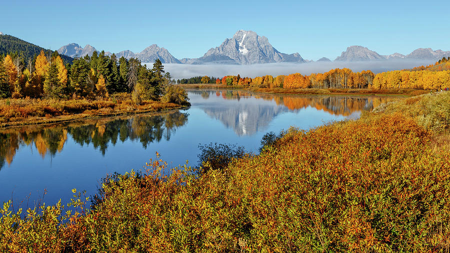 Good Morning Oxbow Bend Photograph by Wes and Dotty Weber