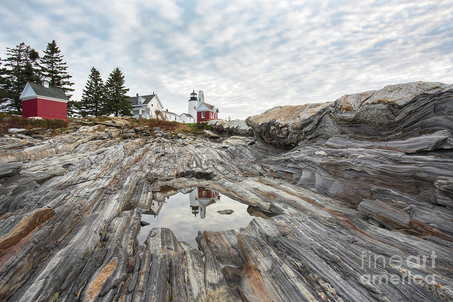 Good Morning Pemaquid Photograph by Linda D Lester