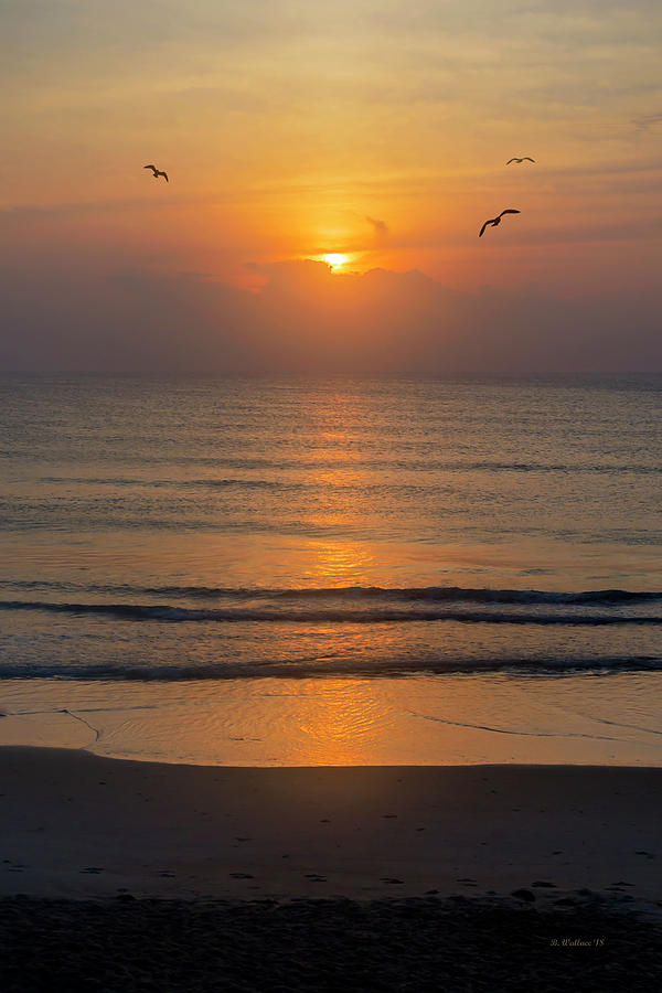 Good Morning Sea Photograph by Brian Wallace