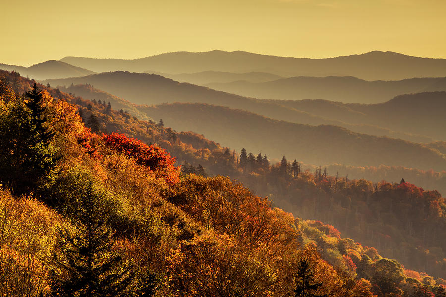 Good Morning Smoky Mountains Photograph by Teri Virbickis