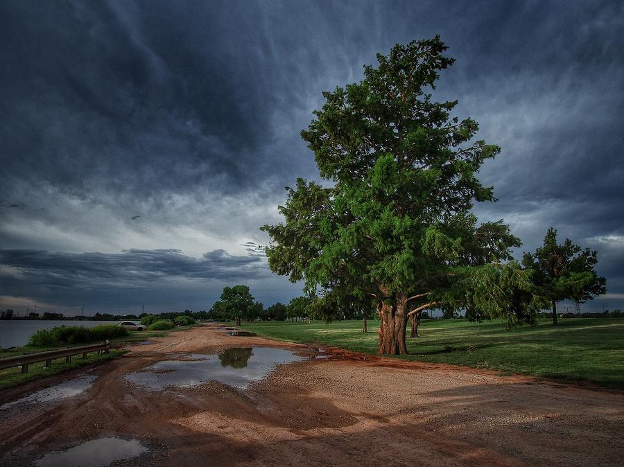 Good Morning Tree and Sky  Photograph by Buck Buchanan