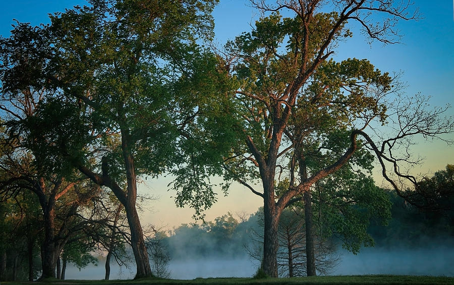Good Morning Waco Photograph by Elaine Malott