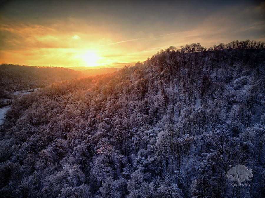 Good Morning Winter Photograph By Flying Dreams