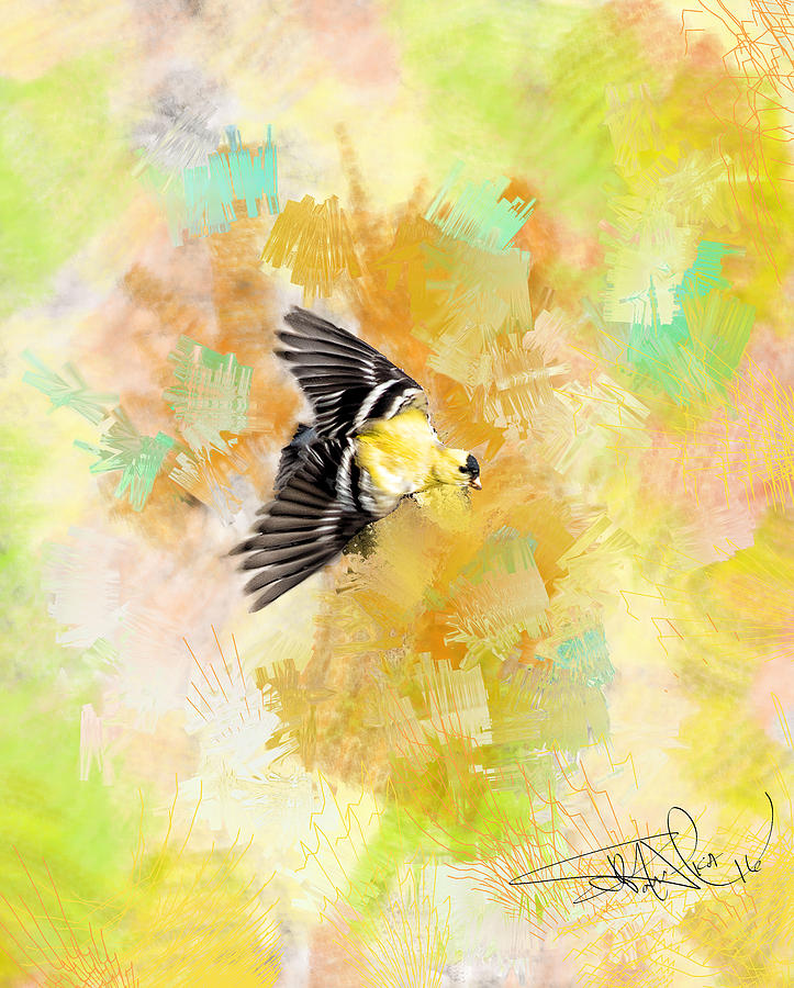 American Goldfinch Painting by Donald Pavlica