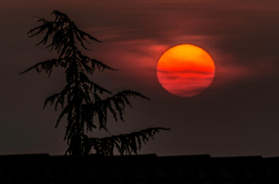 Good night sun Photograph by Wolfgang Stocker