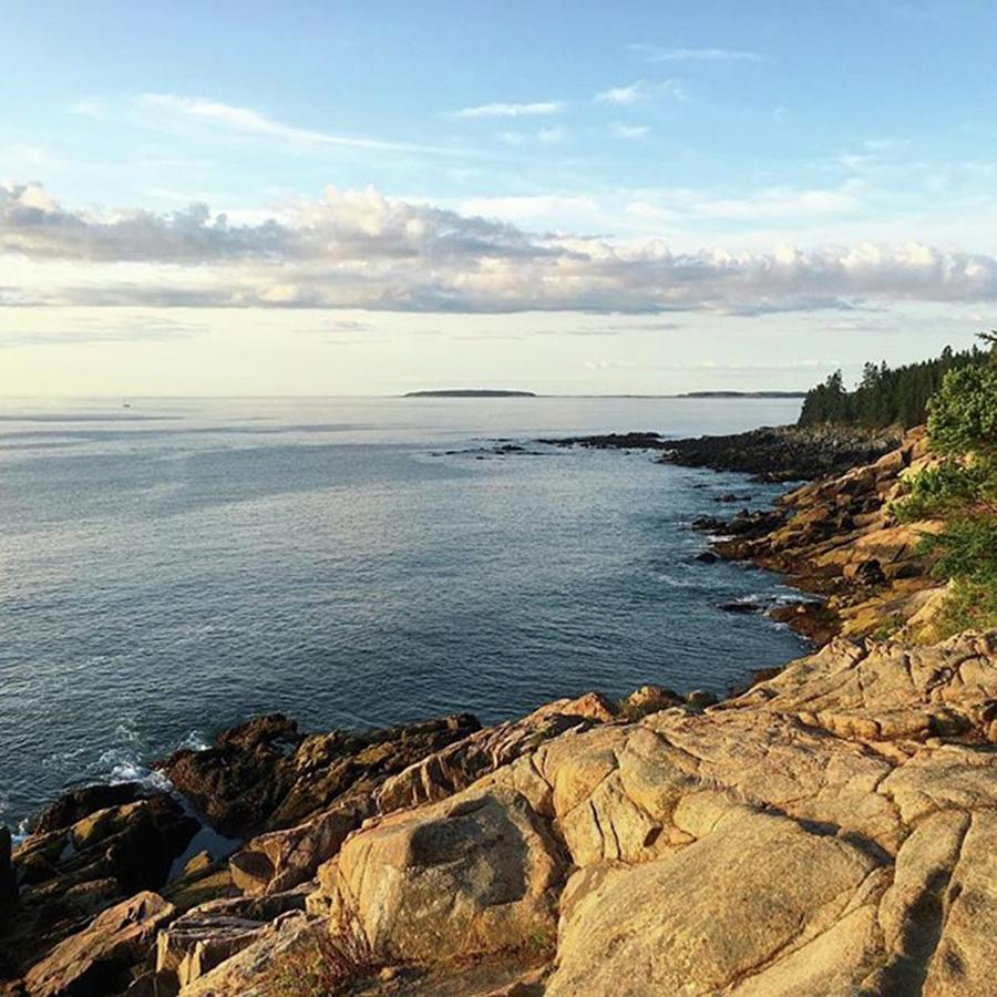 Goodmorning Photograph - #goodmorning From #acadianationalpark by Patricia And Craig