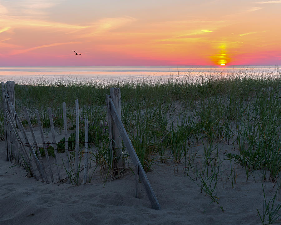Goodnight Cape Cod 2015 Photograph by Bill Wakeley