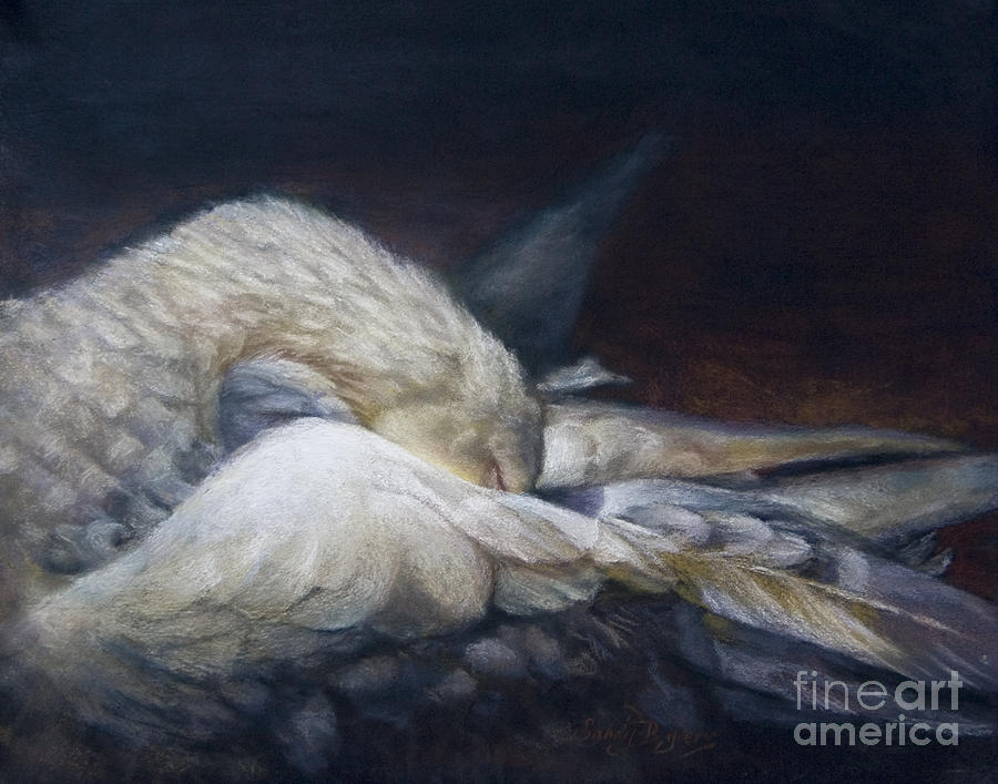 Swan Painting - Goodnight Grace by Sandy Byers