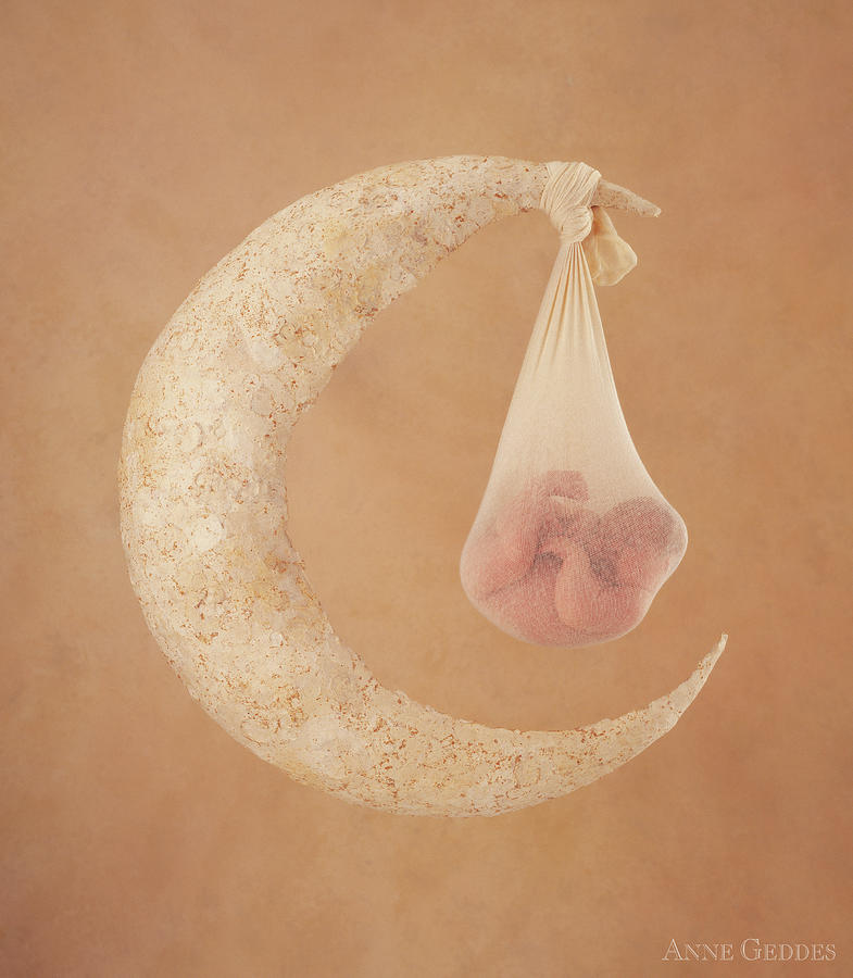 Goodnight Moon Photograph by Anne Geddes