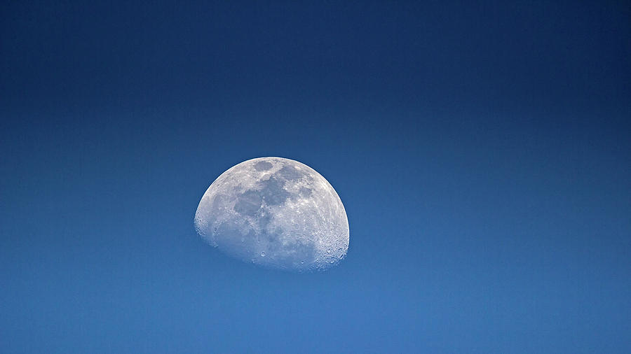 Goodnight Moon Aruba Moonrise Photograph by Spencer Bush Pixels