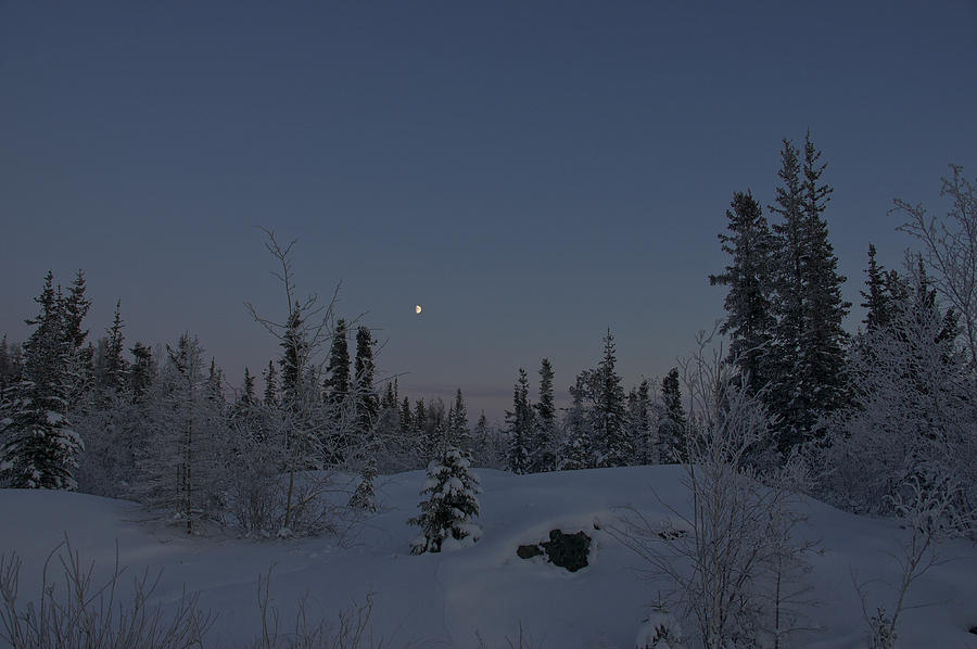 Goodnight Moon Photograph by Brian Kamprath