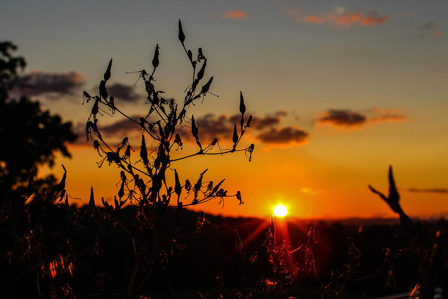 Sunset Photograph - Goodnight Sun by Lisa Lemmons-Powers