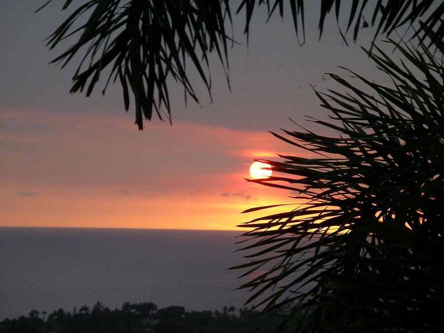 Sunset Photograph - Goodnight - Third in a Series of Four by Karen Nicholson