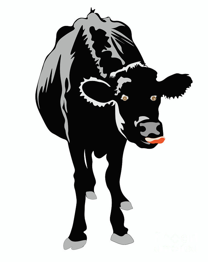 Goofy looking Black cow licks her nose Digital Art by Susan Vineyard
