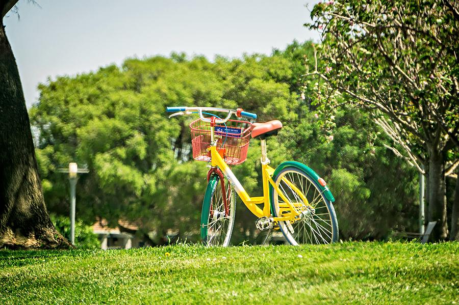 Google Bike Parked Near Googleplex Facility Park Photograph by Alex Grichenko