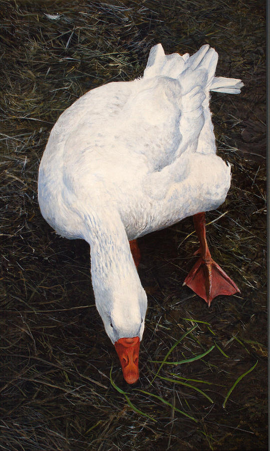 Goose Painting By Alan Bateman - Fine Art America