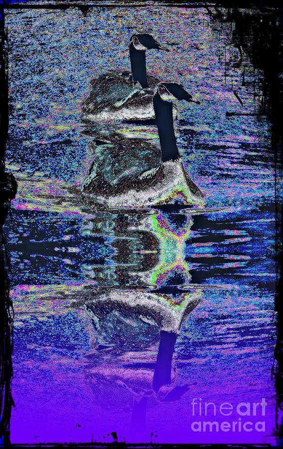 Goose and Gander Digital Art by Leslie Revels