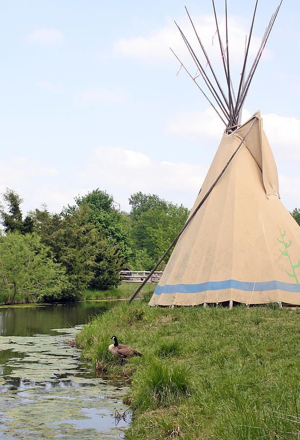 Goose and Tepee Photograph by Ellen Tully