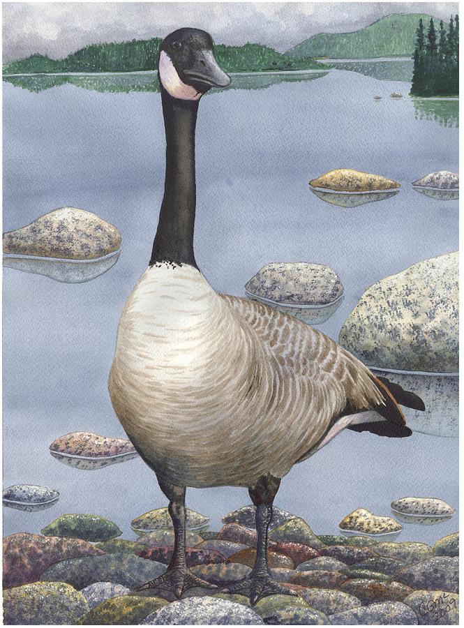 Goose Painting by Catherine G McElroy