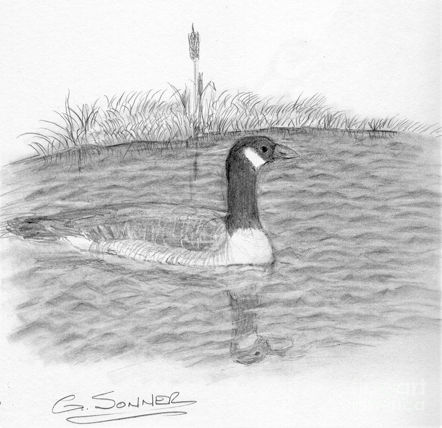 Goose Drawing by George Sonner