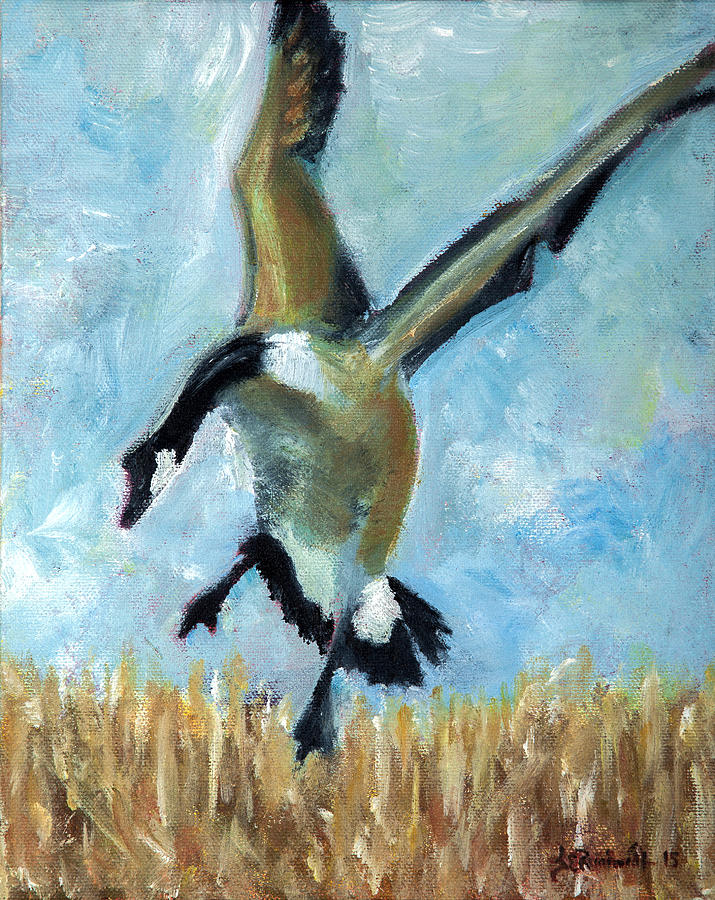 Goose by Jason Reinhardt Goose by Jason Reinhardt