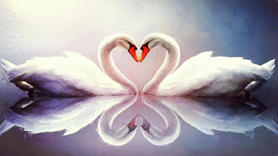 Swan Love Photograph by Bill and Linda Tiepelman Swan Love Photograph by Bill and Linda Tiepelman