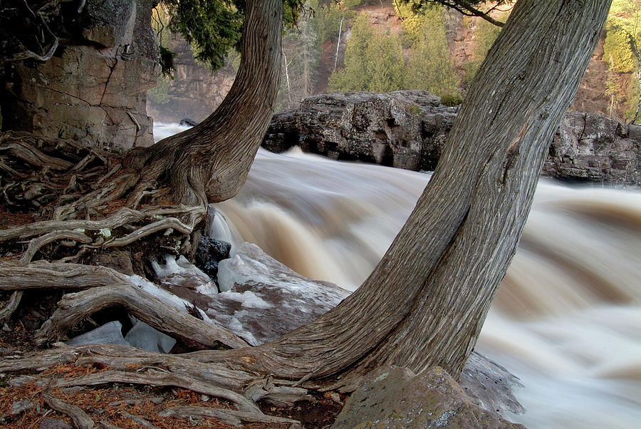 Gooseberry Falls w Spruce Trees Photograph by Steve Lucas