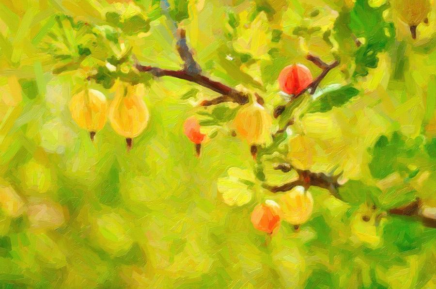 Gooseberry Fruits ca 2017 by Adam Asar Painting by Celestial Images