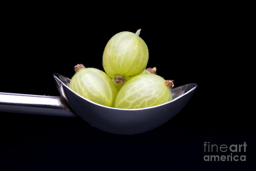 Raspberry Photograph - Gooseberry Spoon by Tim Gainey