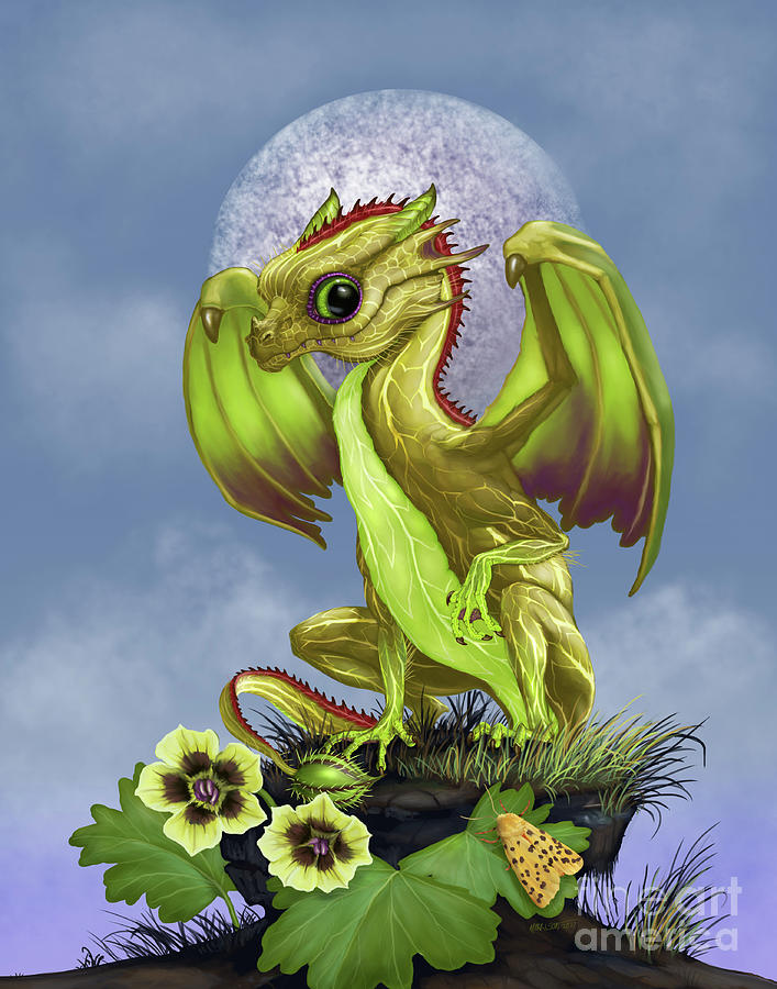 Dragon Digital Art - Gooseberry Dragon by Stanley Morrison