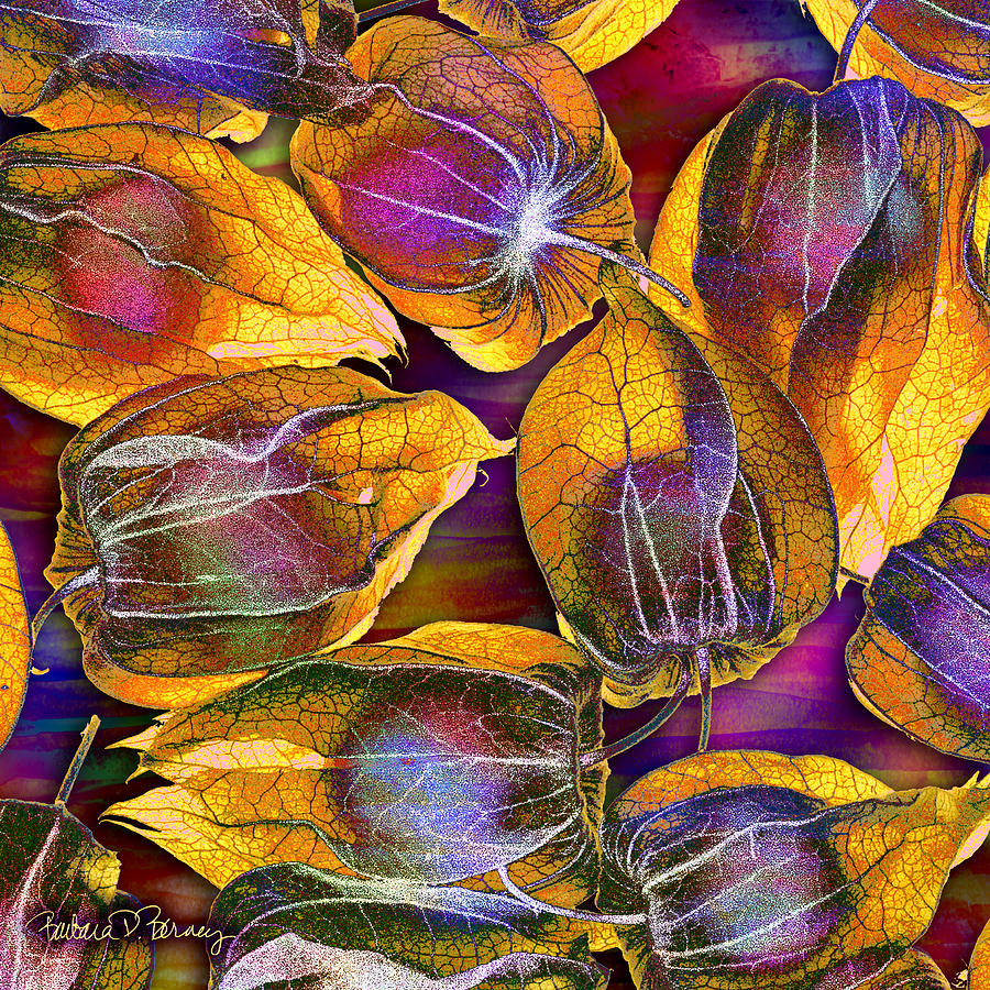 Goosed Berry Pods Digital Art by Barbara Berney