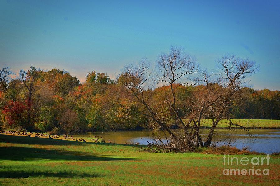 Fall Photograph - Gooses Rest by Skip Willits