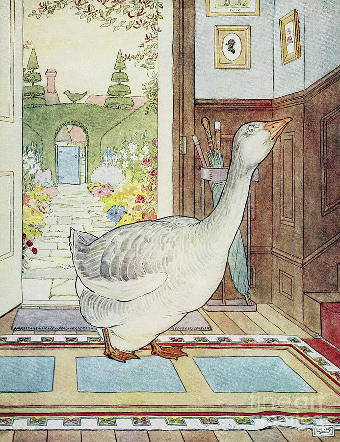 Goose Drawing - Goosey, Goosey Gander, Where Shall I Wander by Leonard Leslie Brooke