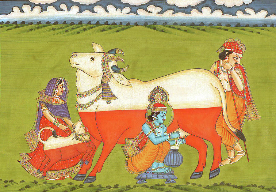 indian cow paintings