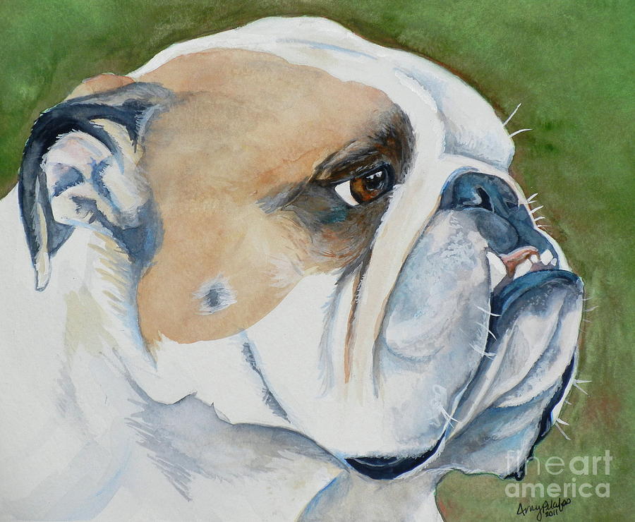 Gordie The English Bulldog Painting by Amy Pilafas - Pixels