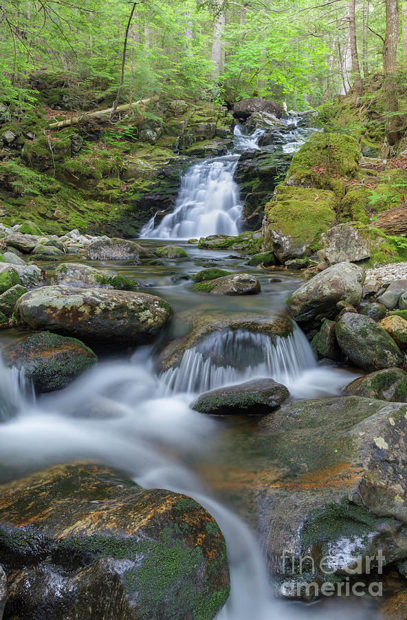 Gordon Falls - Randolph New Hampshire Photograph by Erin Paul Donovan ...