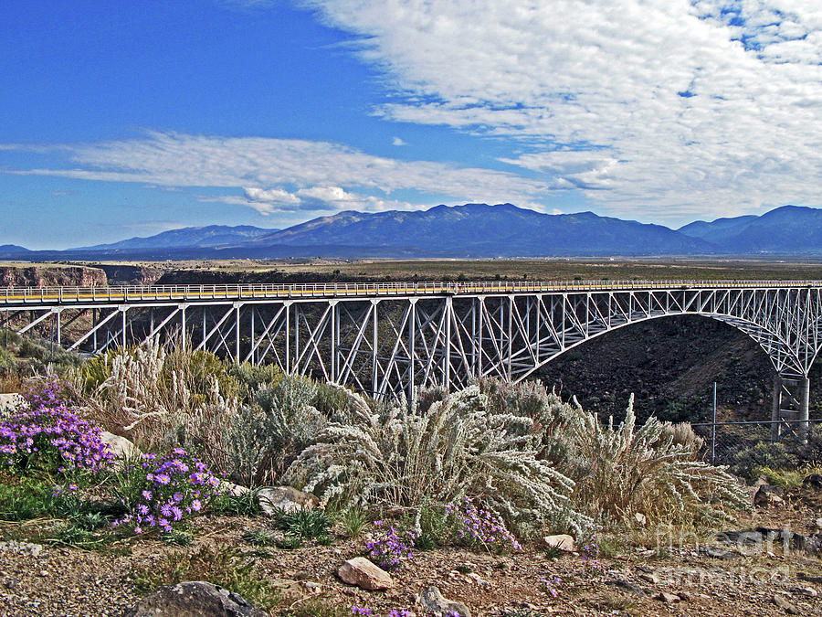 Gorge Bridge Decorated Photograph by Nieves Nitta