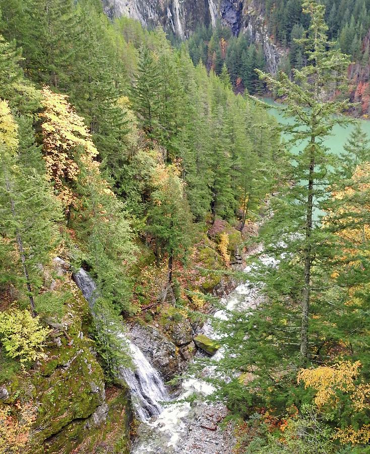 Gorge Creek Washington State Photograph by Sandra Peery