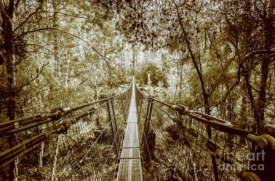 Gorge Swinging Bridges Photograph by Jorgo Photography