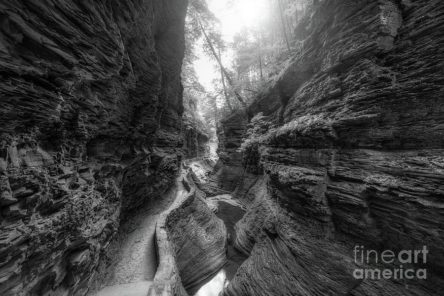 Waterfall Photograph - Gorge Trail at Watkins Glen BW by Michael Ver Sprill